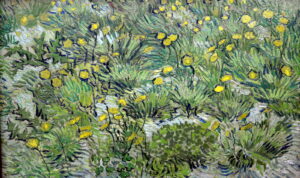 Van Gogh's 'Pissenlits' (1889)