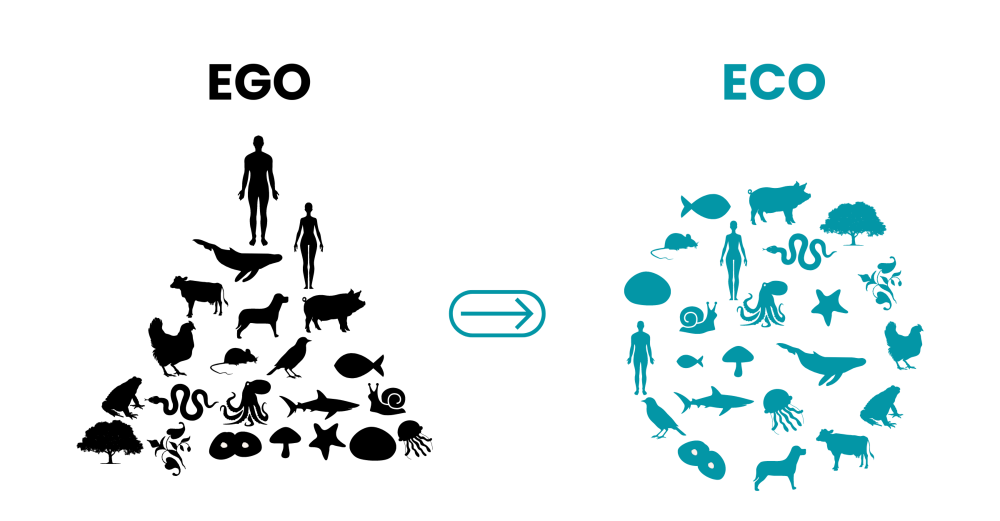 Ego to Eco Diagram
